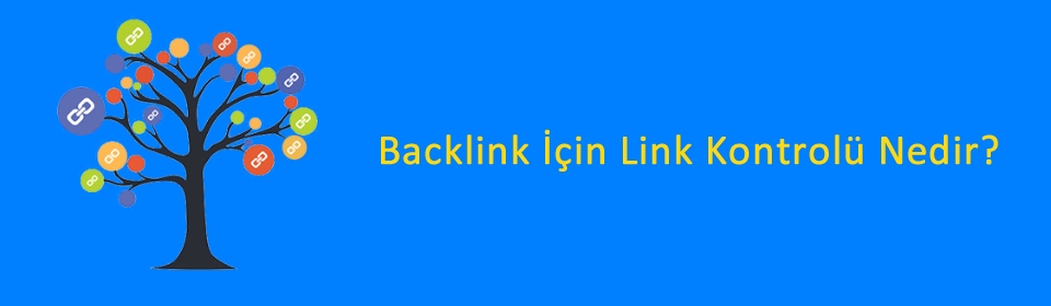 backlink-icin-link-kontrolu-nedir