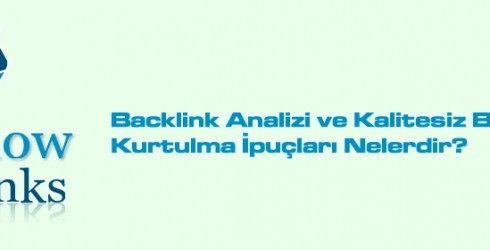 Backlink Analizi ve Kalitesiz Backlinklerden Kurtulma