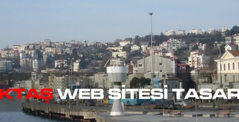 Beşiktaş Web Sitesi Tasarımı